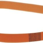 Meat Slicer Belt TB2-598/12 Ribs MEGADYNE